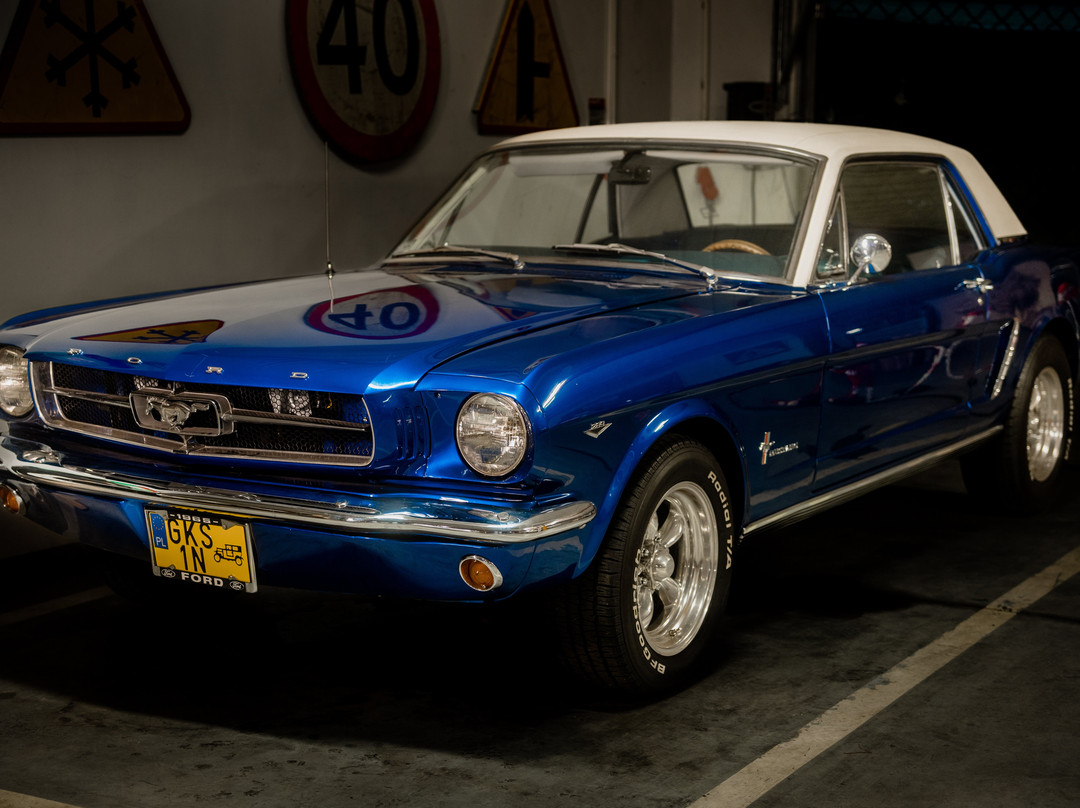 American Old Cars & Wystawa Coca-cola景点图片