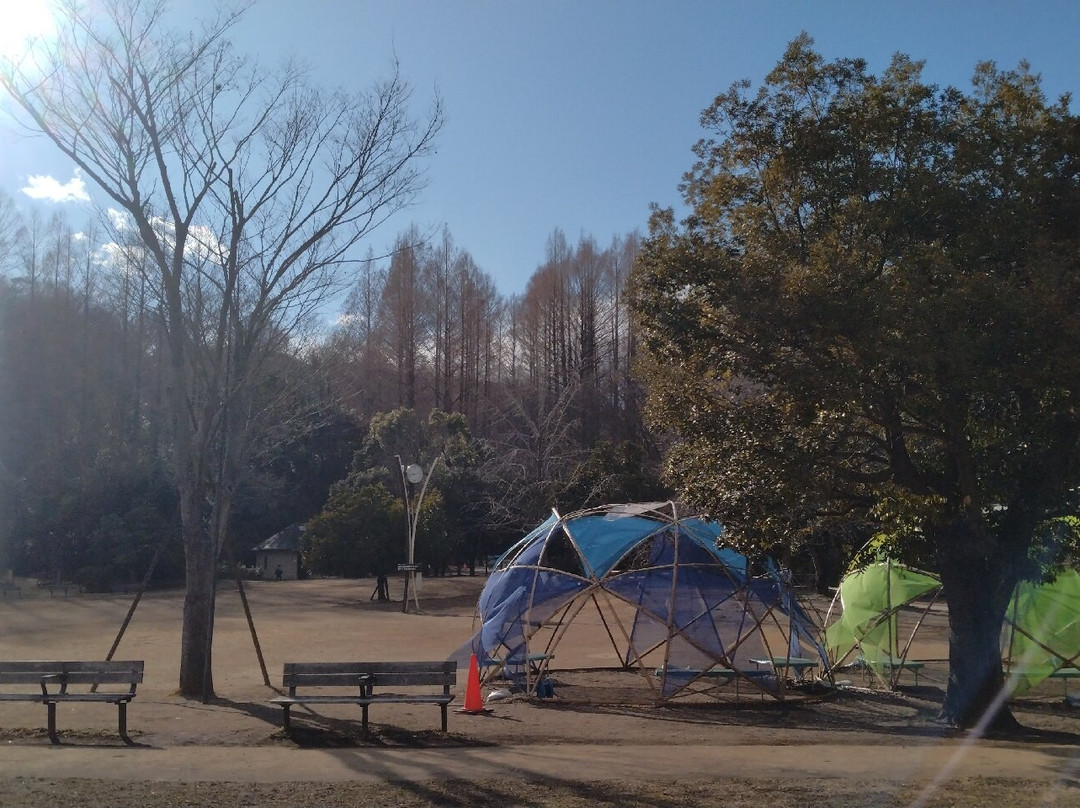 Ikuta Ryokuchi Park景点图片