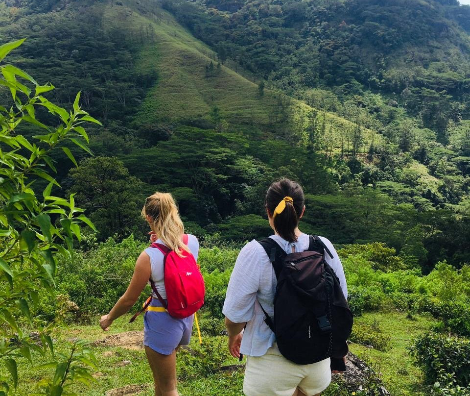 Knuckles Trail Blazers