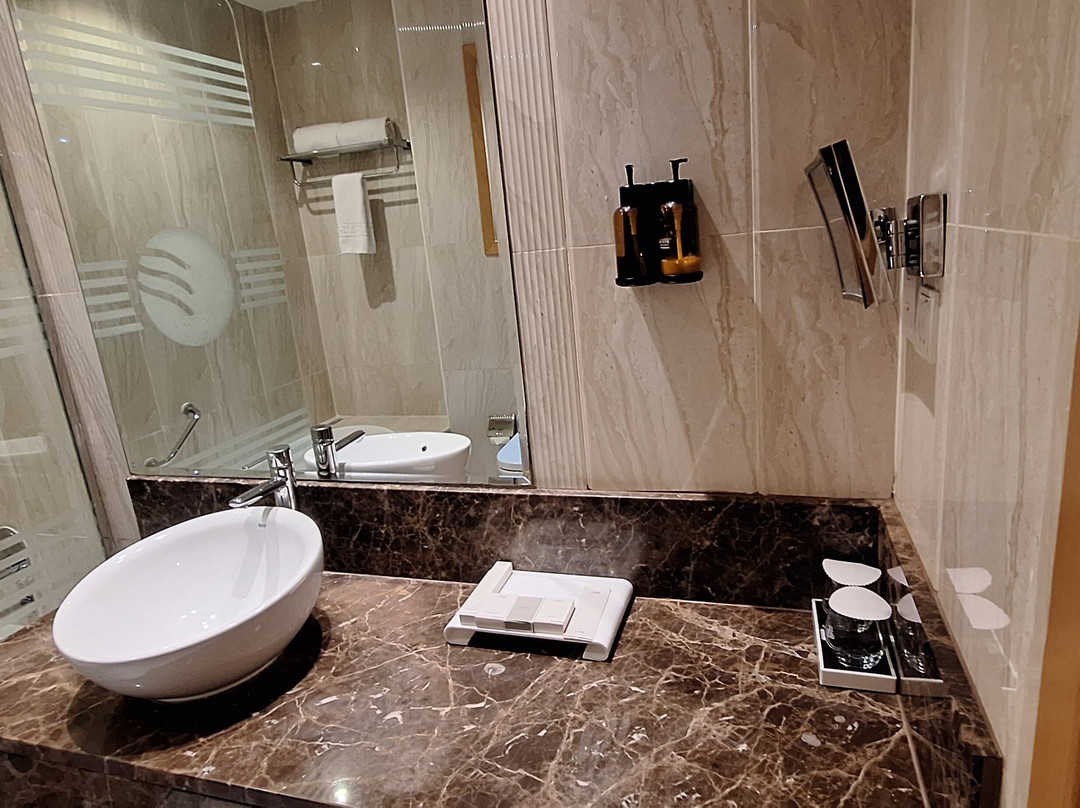 Fortune Park Hotel主图