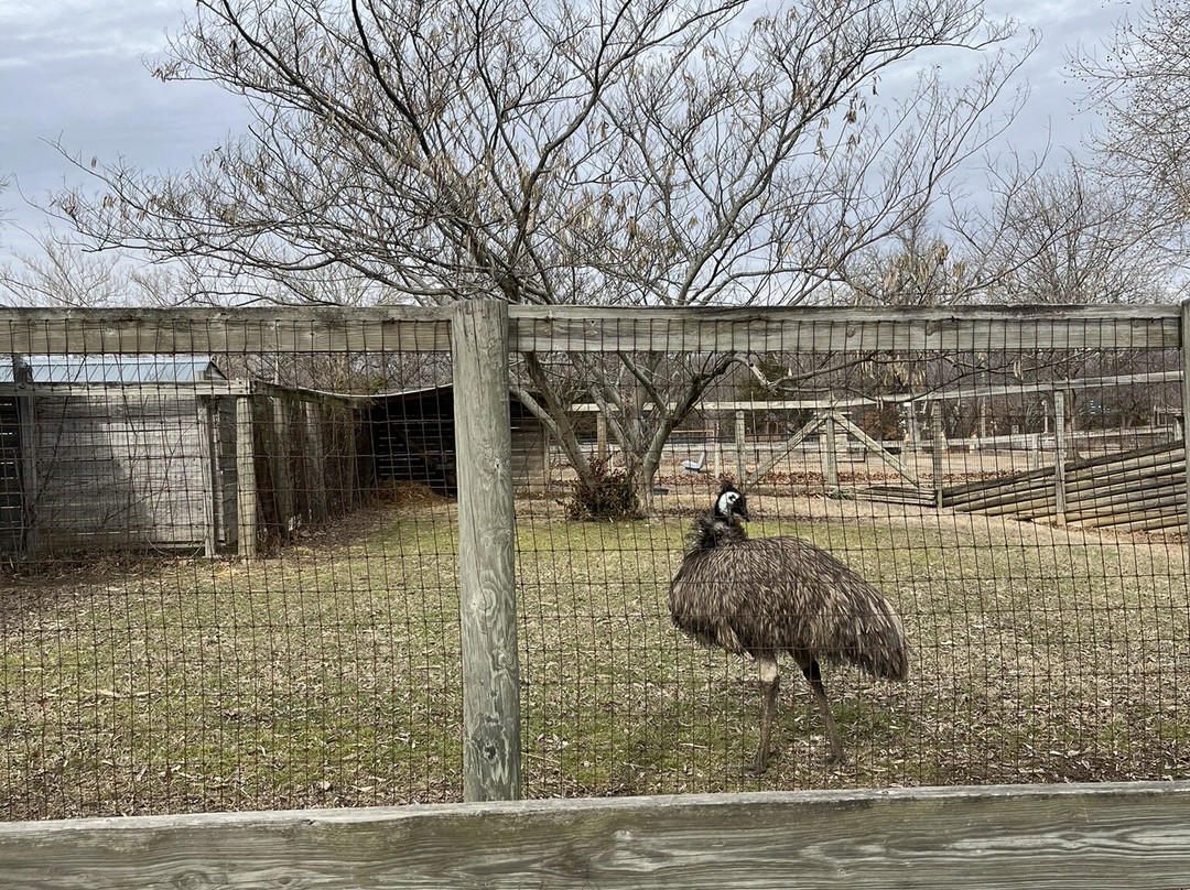 Riverside Park and Ralph Mitchell Zoo-Independence必去景点
