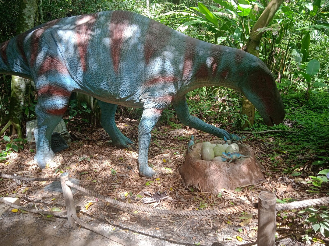 Terra Dos Dinos-Miguel Pereira必去景点