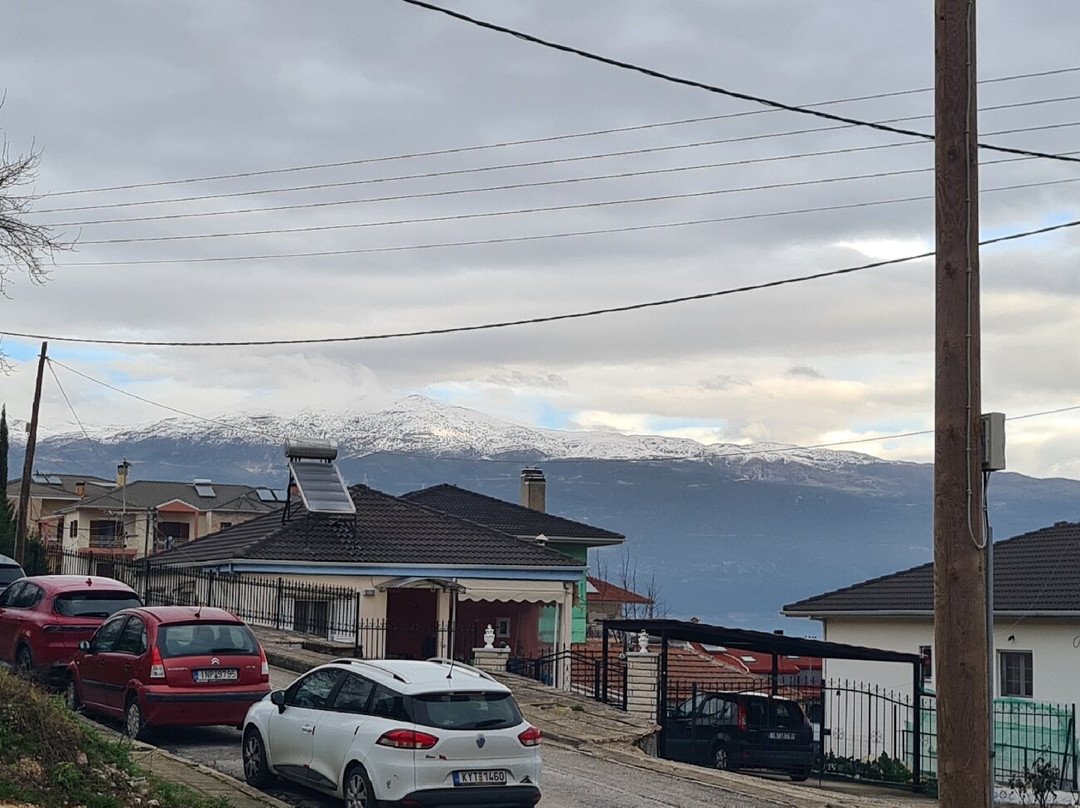 City Hill Luxury Apartments主图