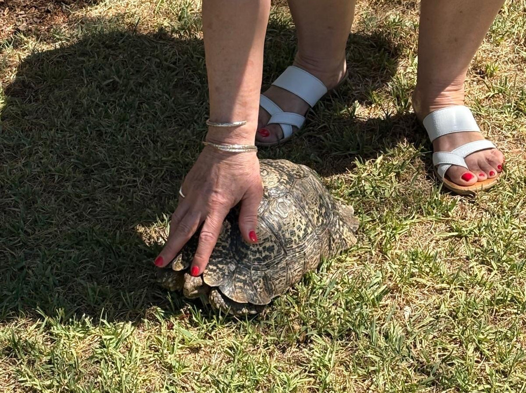 Karoo Proviant Restaurant & Café