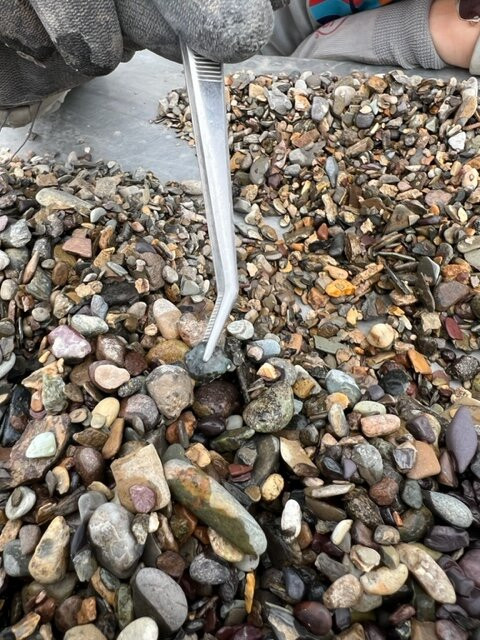 Montana Blue Jewel Mine-赫勒拿必去景点