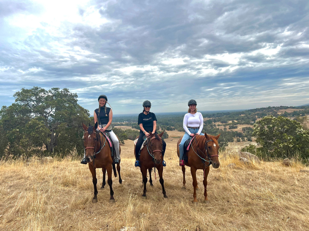 Jarrahdale Equestrian Centre景点图片