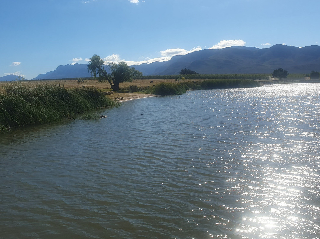 Waterside Le Bonheur Croc Farm主图