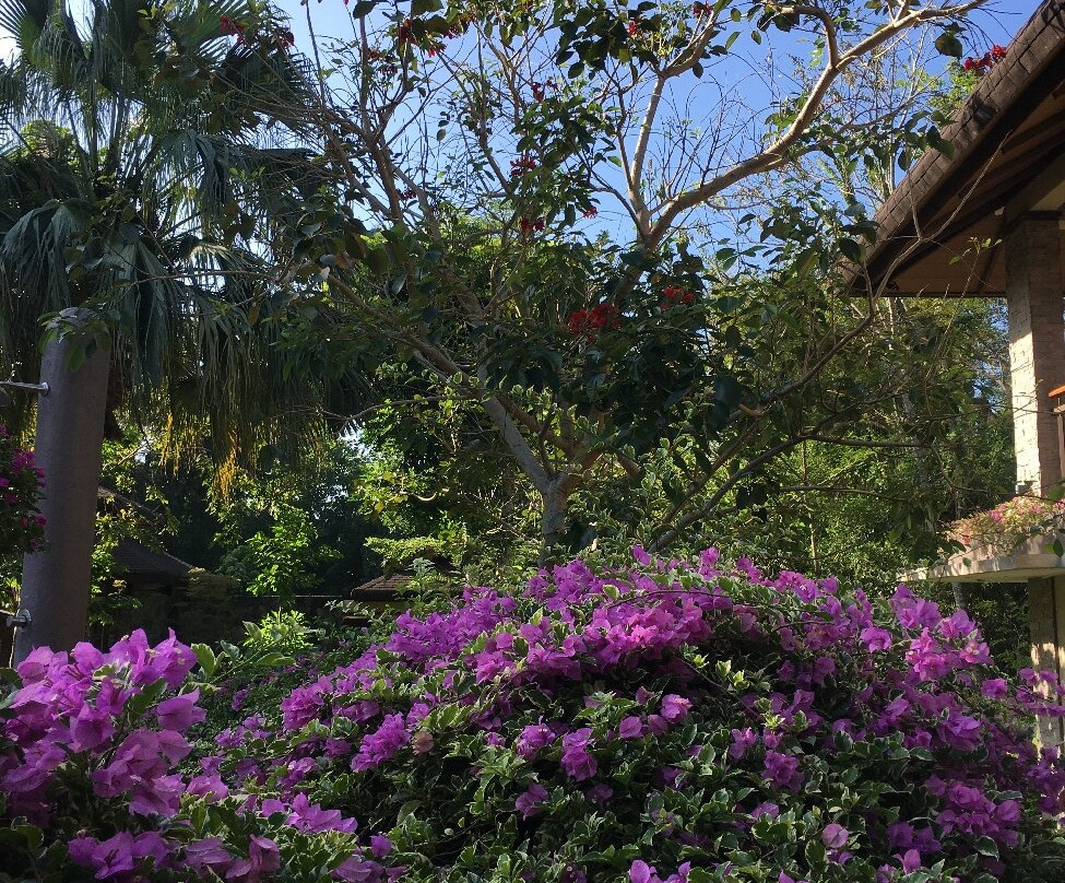 El Jardin de Zaida主图