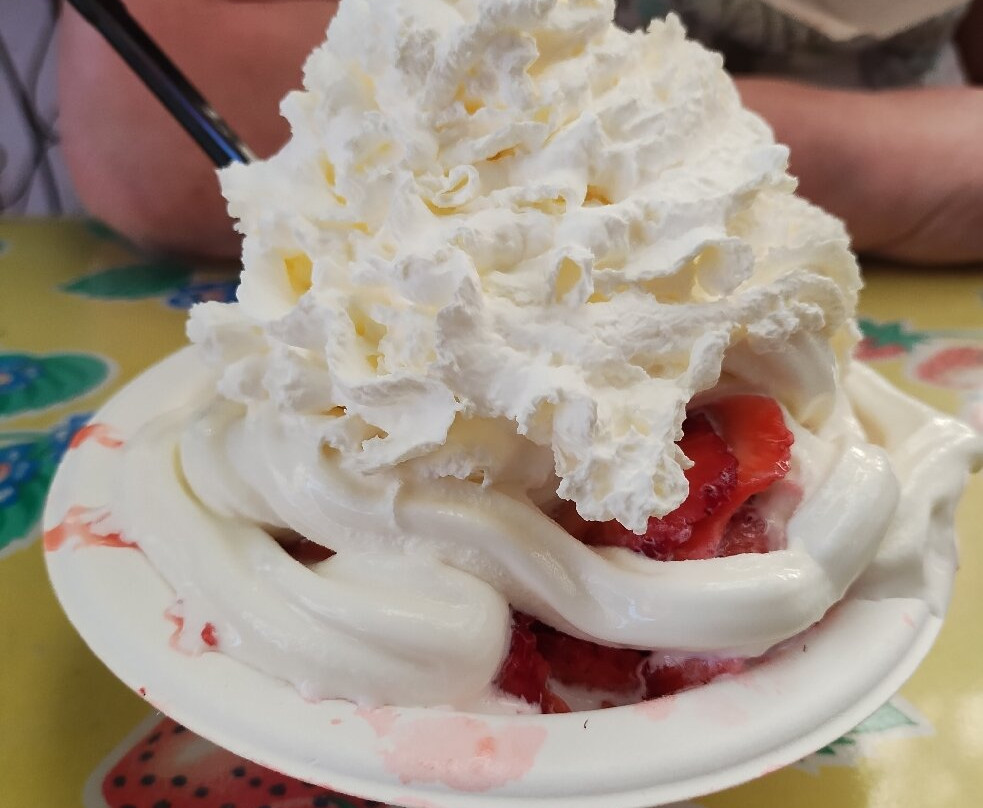 Parkesdale Farm Market-普兰特城必去景点