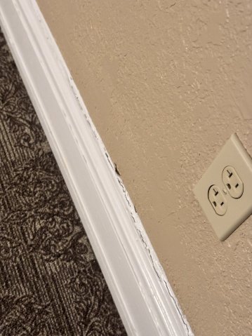 Americus Hotel-客卧