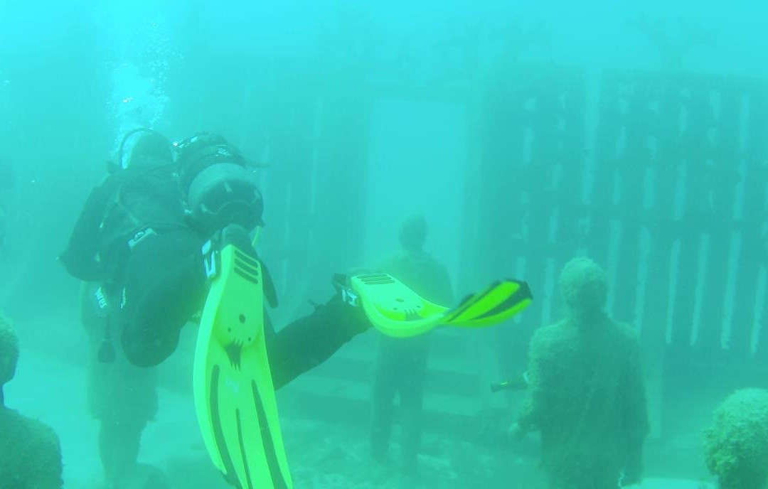 Pura Vida Diving景点图片