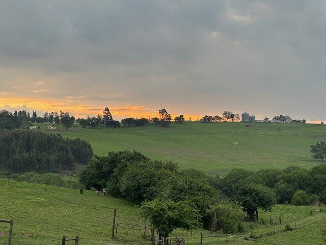 Jolo Guest Farm主图