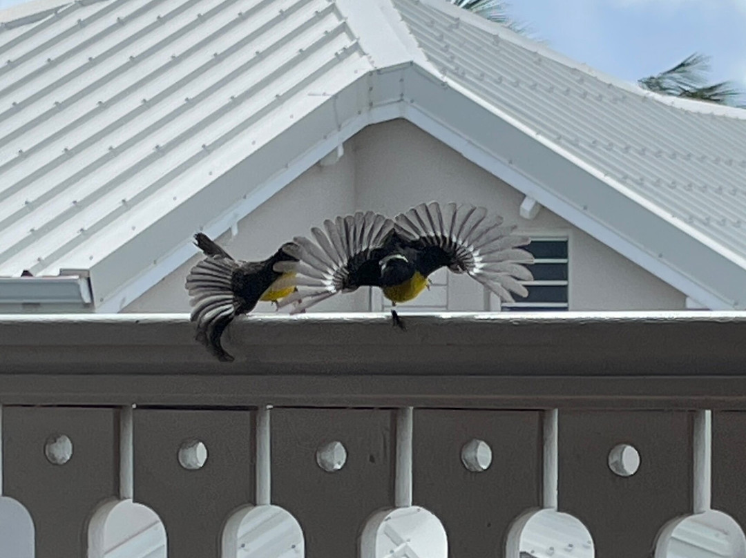 Résidence de l'Anse Margot主图