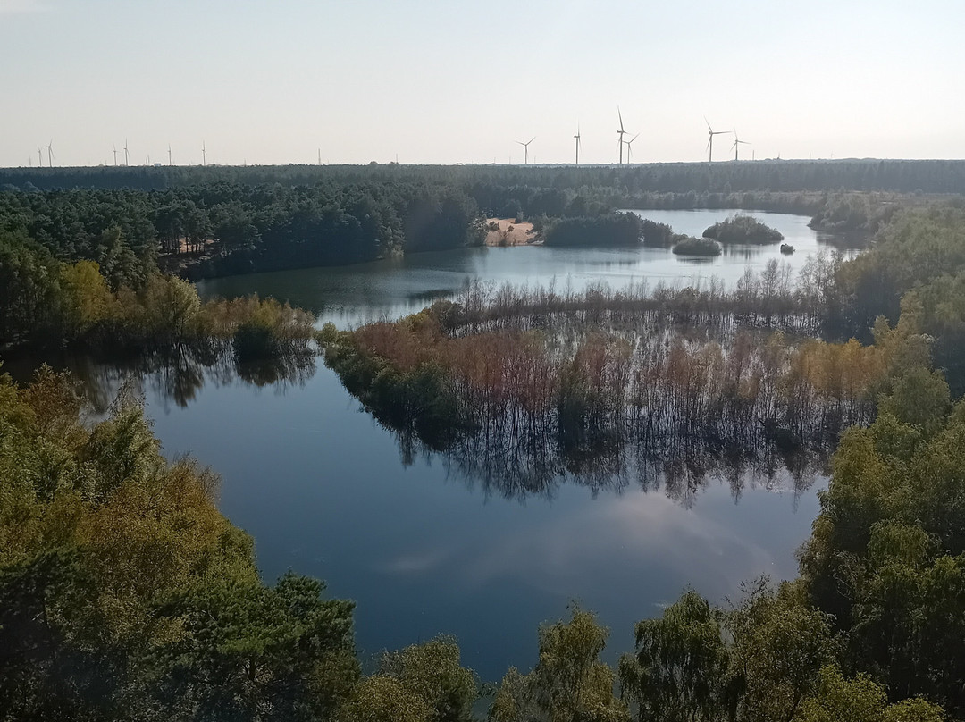 Uitkijktoren Lommelse Sahara景点图片
