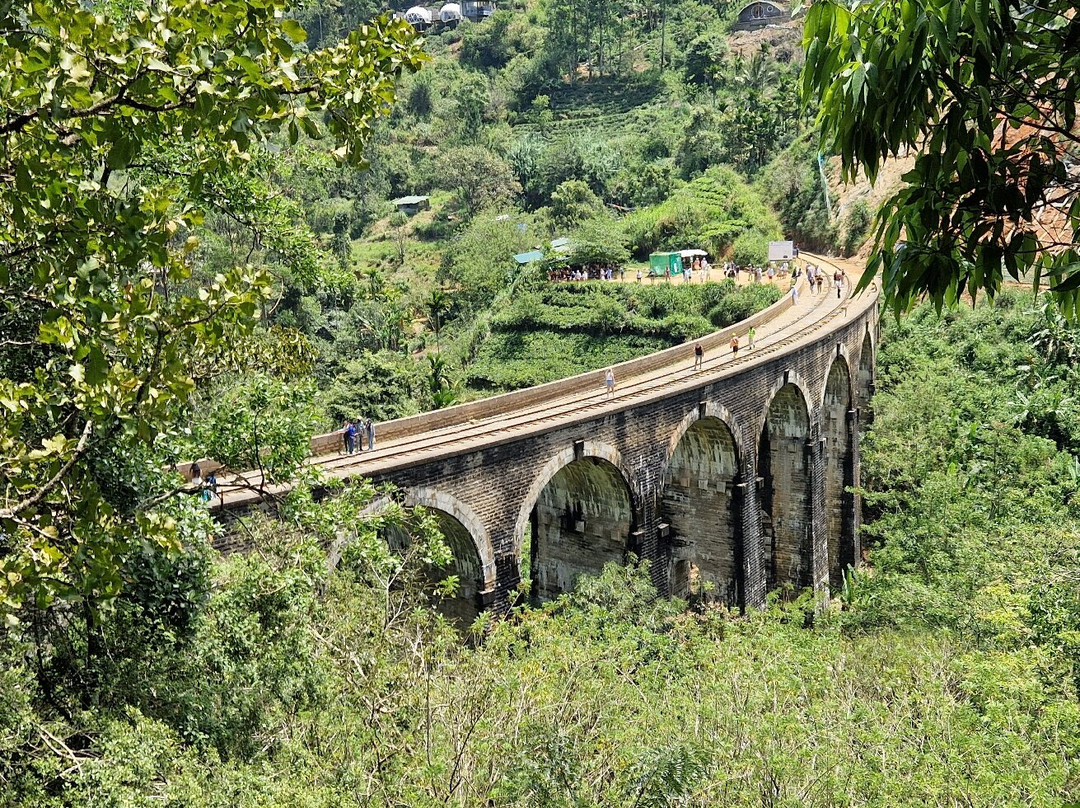SriLankan Pearl景点图片