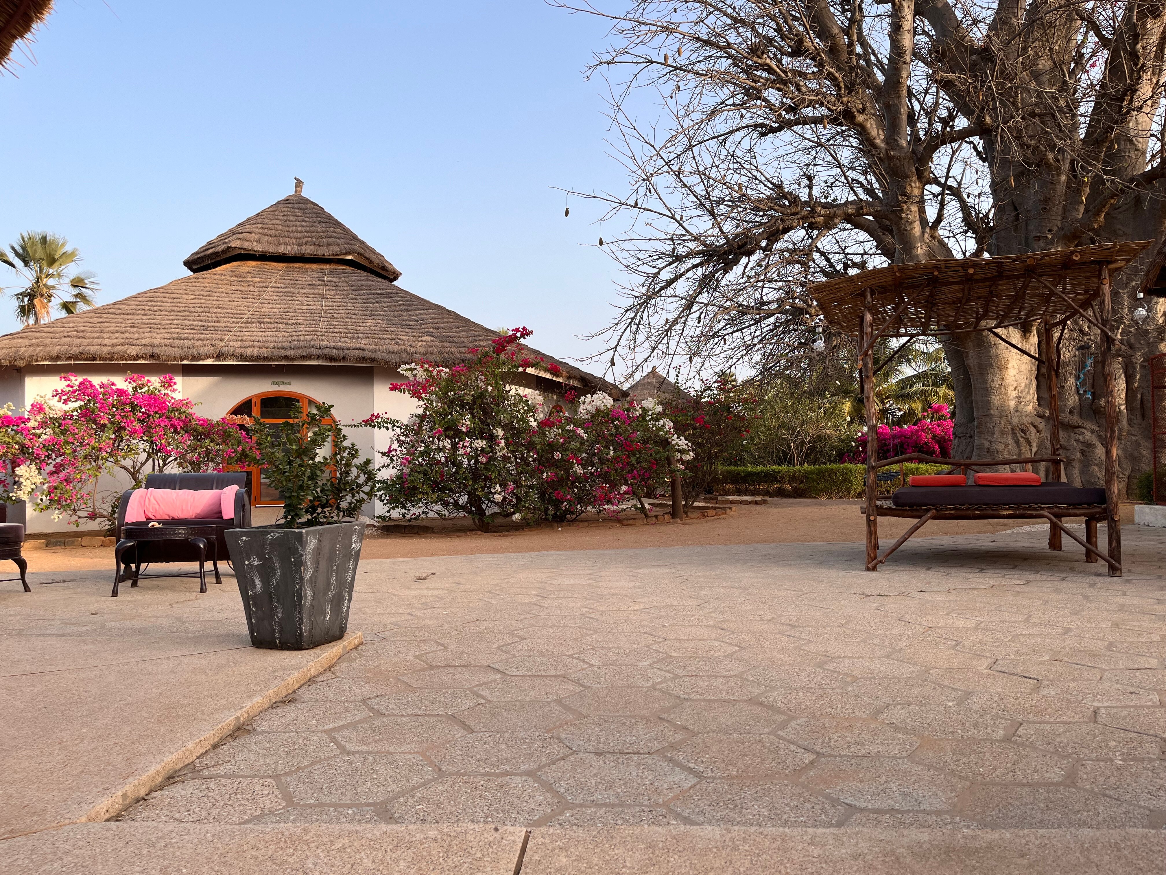 Baobab Lodge-官方