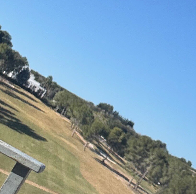 Club De Golf El Bosque景点图片