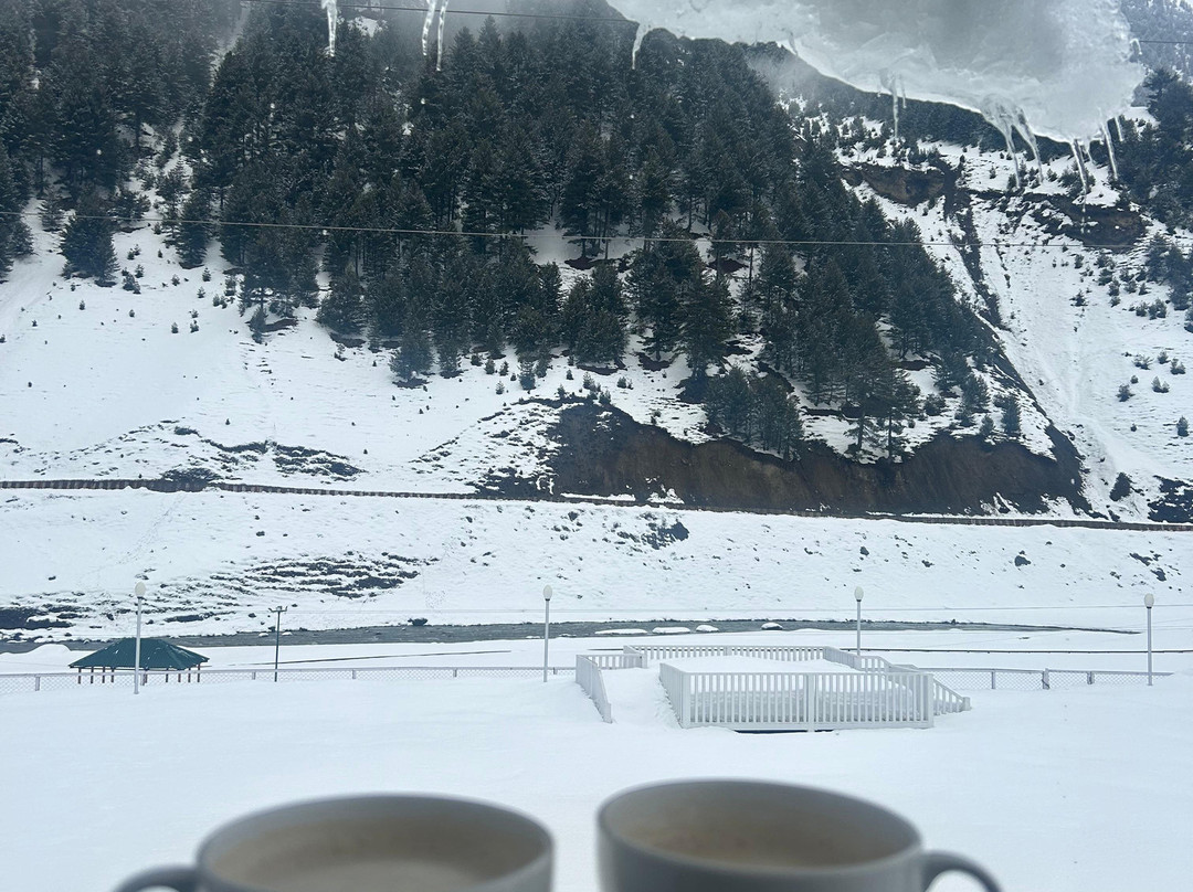 Lemon Tree Hotel, Sonamarg主图