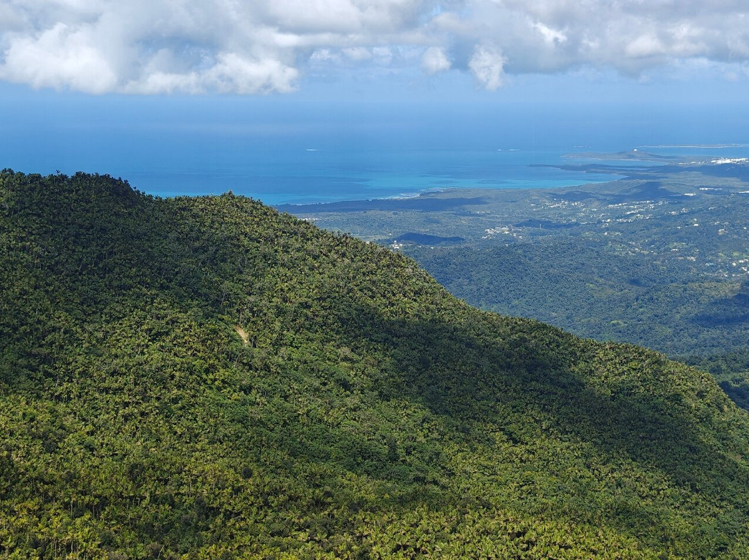 Mt. Britton Lookout Tower-Rio Grande必去景点