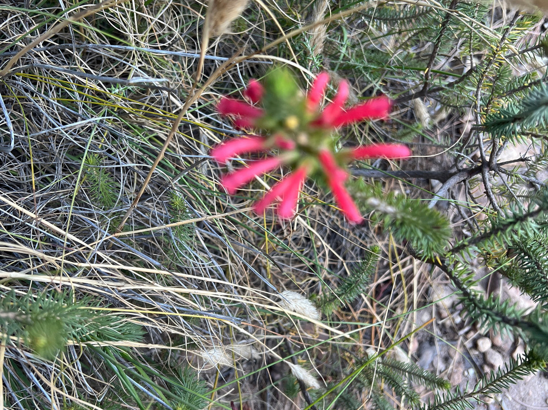 Widevision Travel-米那顿必去景点