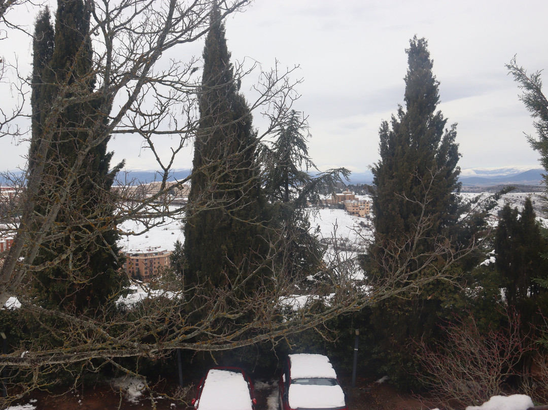 Parque del Castillo景点图片