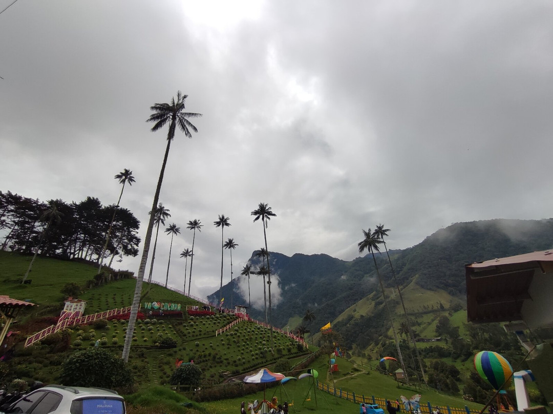 Bosques de Cocora-萨伦托必去景点