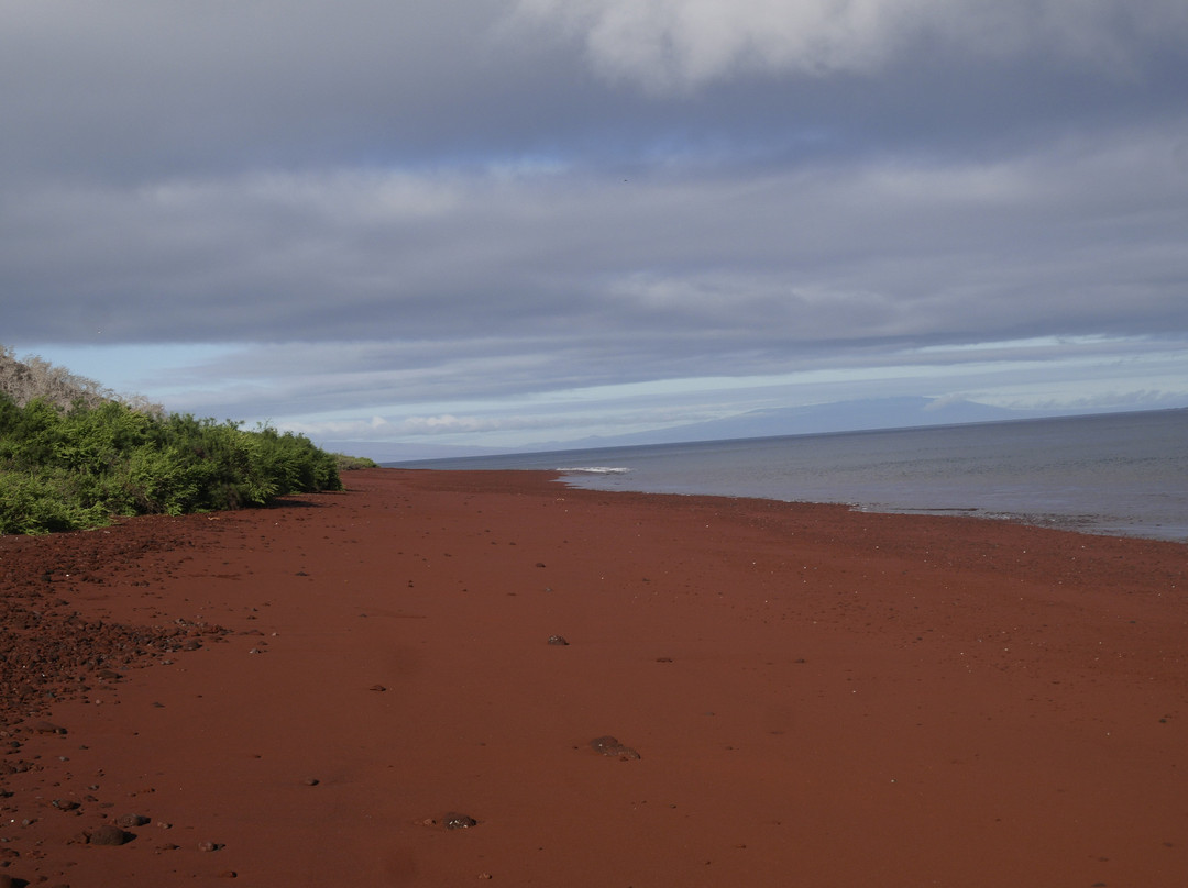 Rabida Island-Rabida必去景点