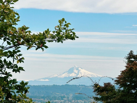 Quailhurst Vineyard Estate-Sherwood必去景点