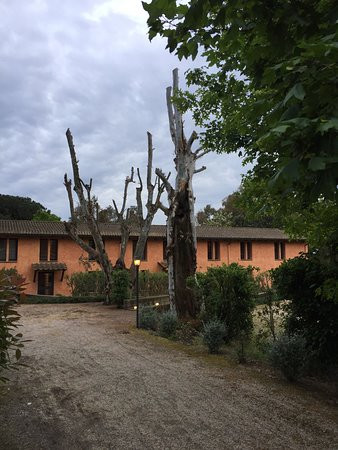 卡萨利圣布里吉达酒店主图