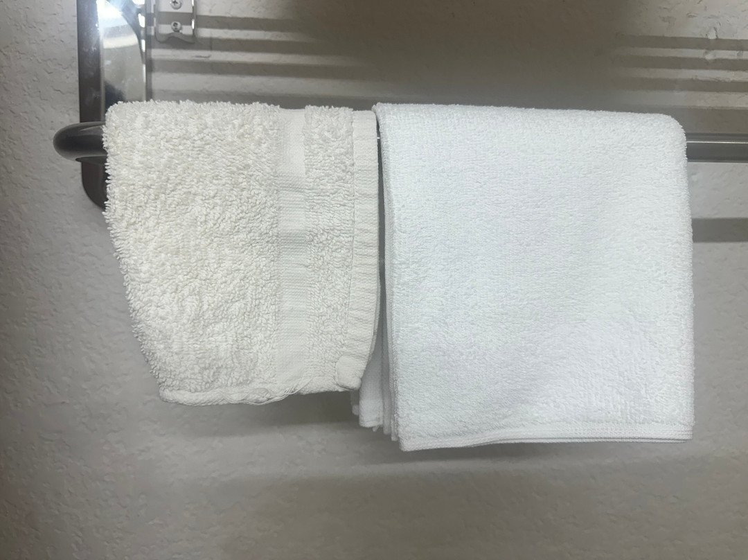 Microtel Inn & Suites by Wyndham Ardmore主图