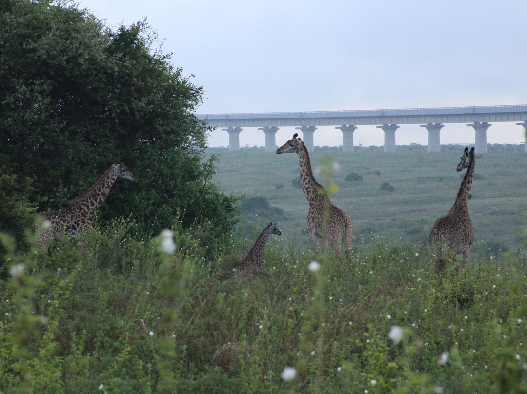 Heritawi safaris-Karen必去景点