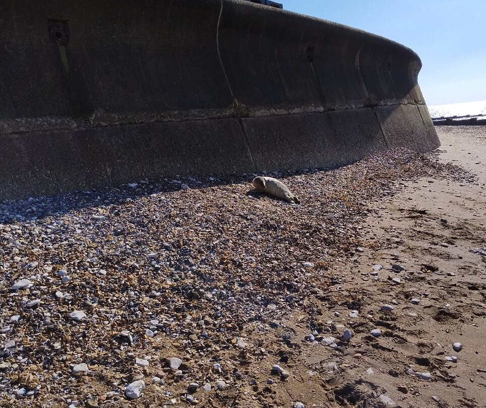 Hunstanton Beach景点图片