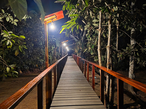JunglePro-马尔多纳多港必去景点