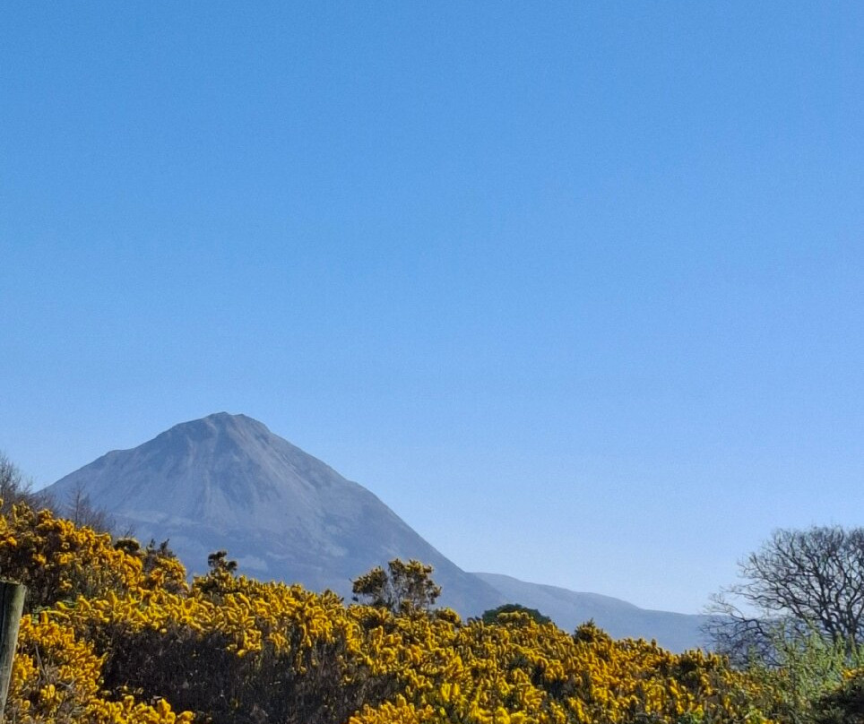 Errigal View Pet Farm-Gweedore必去景点