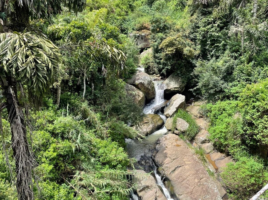 "Carpe Diem" Tour Experts SLNo-Daluwakotuwa必去景点