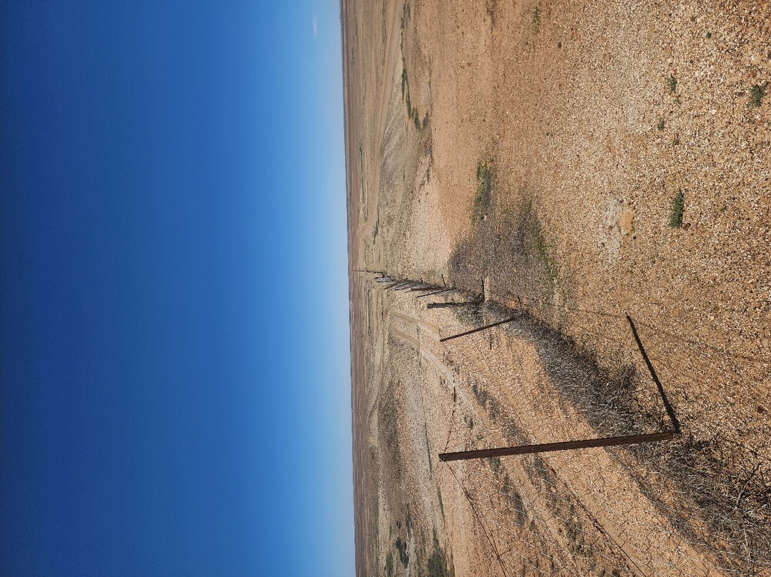 Dog Fence景点图片