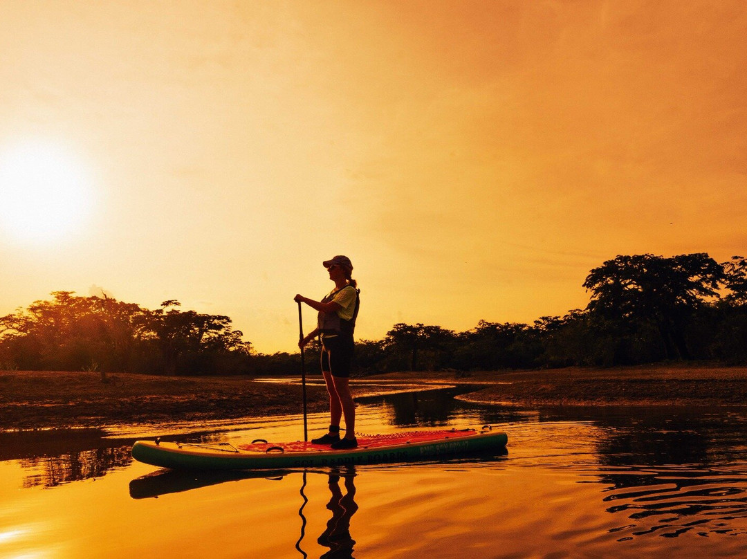 Amazonia Ecuatoriana景点图片