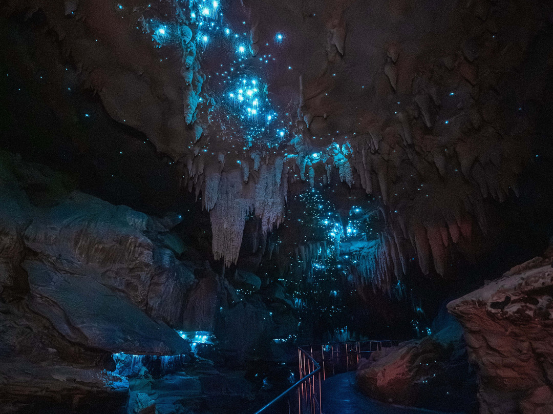 Milky Way Glowworm Cave - Waipu景点图片