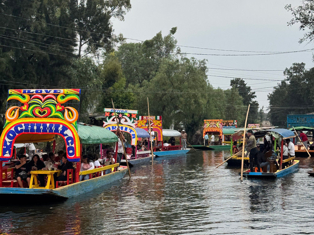 Mexican Tales-墨西哥城必去景点