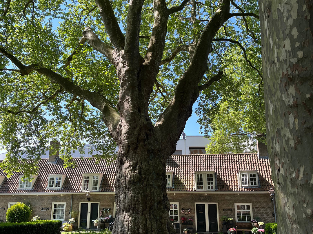 Stadswandelingen Gilde Dordrecht-多德雷赫特必去景点