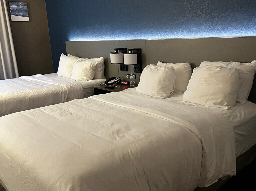 弗里蒙特凯富酒店主图