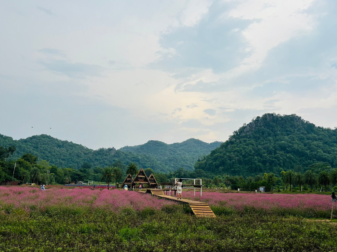 Hokkaido Flower Park-呵叻必去景点