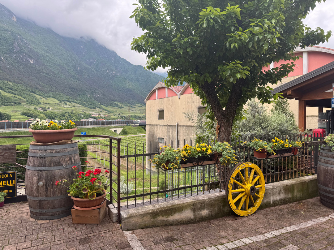 Azienda Agricola Agrituristica Martinelli Albino-Ala必去景点