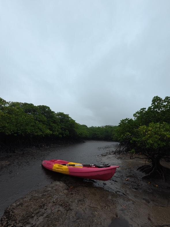 IRIOMOTE ADVENTURE PiPi-竹富町西表岛必去景点