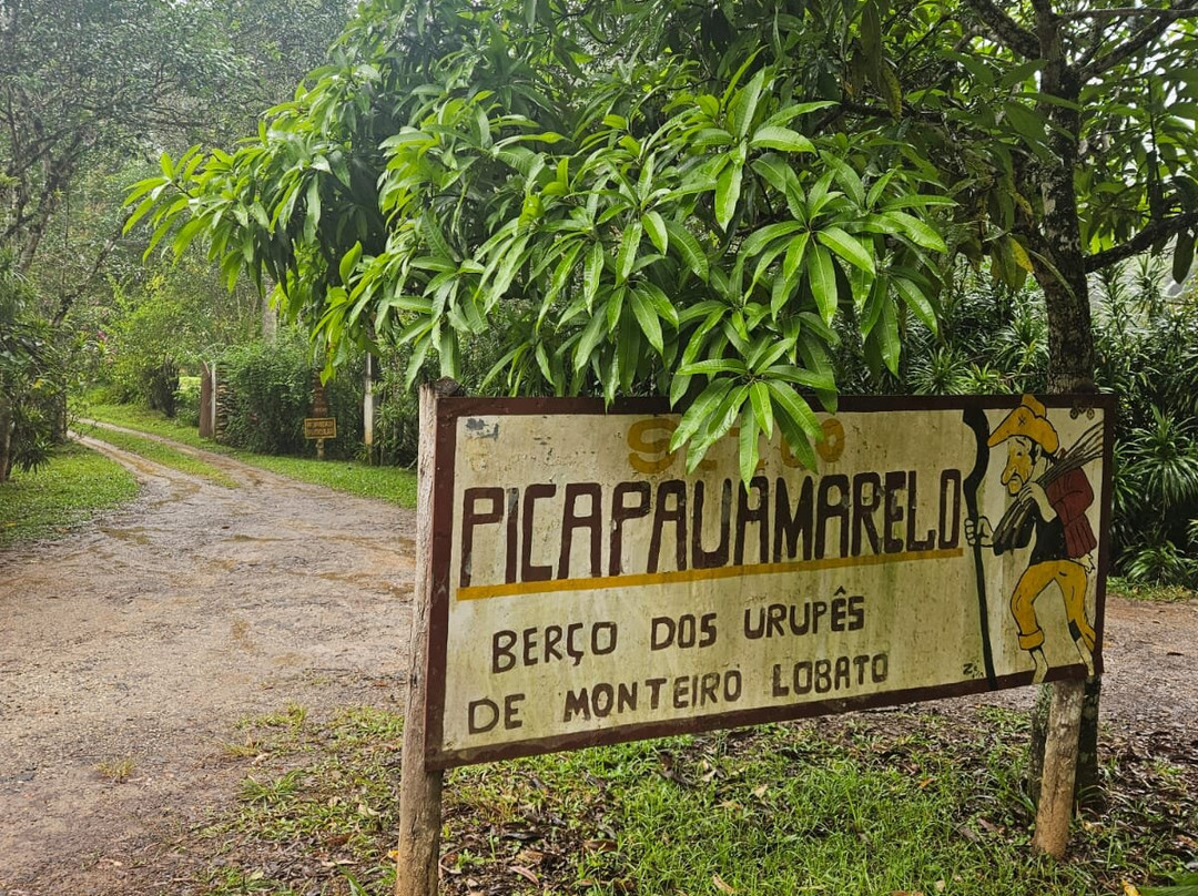 O Verdadeiro Sitio do Picapau Amarelo景点图片