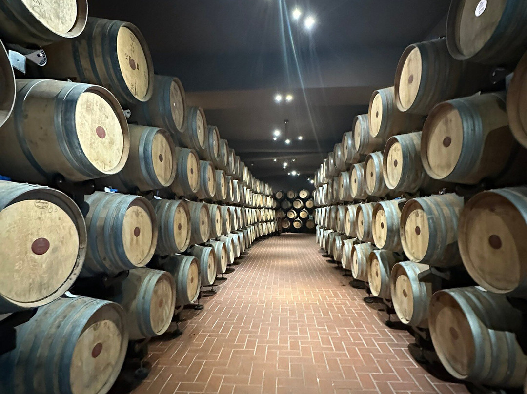 Mazzetti D'Altavilla-Altavilla Monferrato必去景点