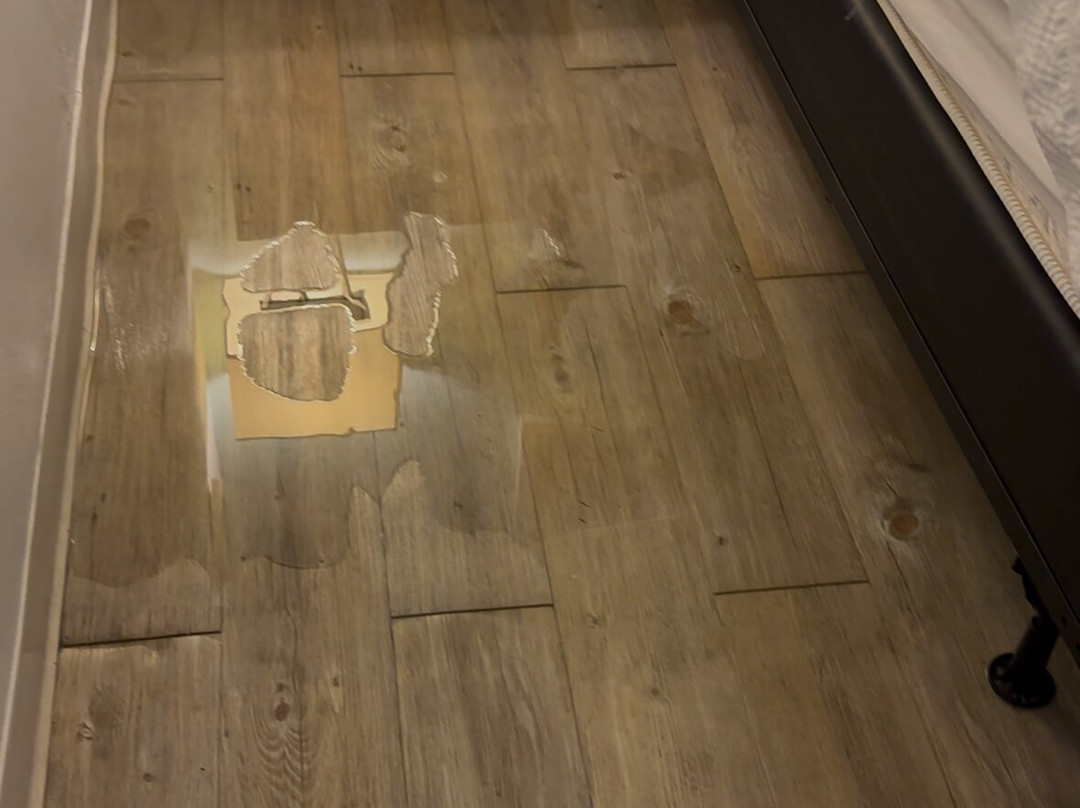 Courtyard by Marriott Nassau Downtown/Junkanoo Beach主图