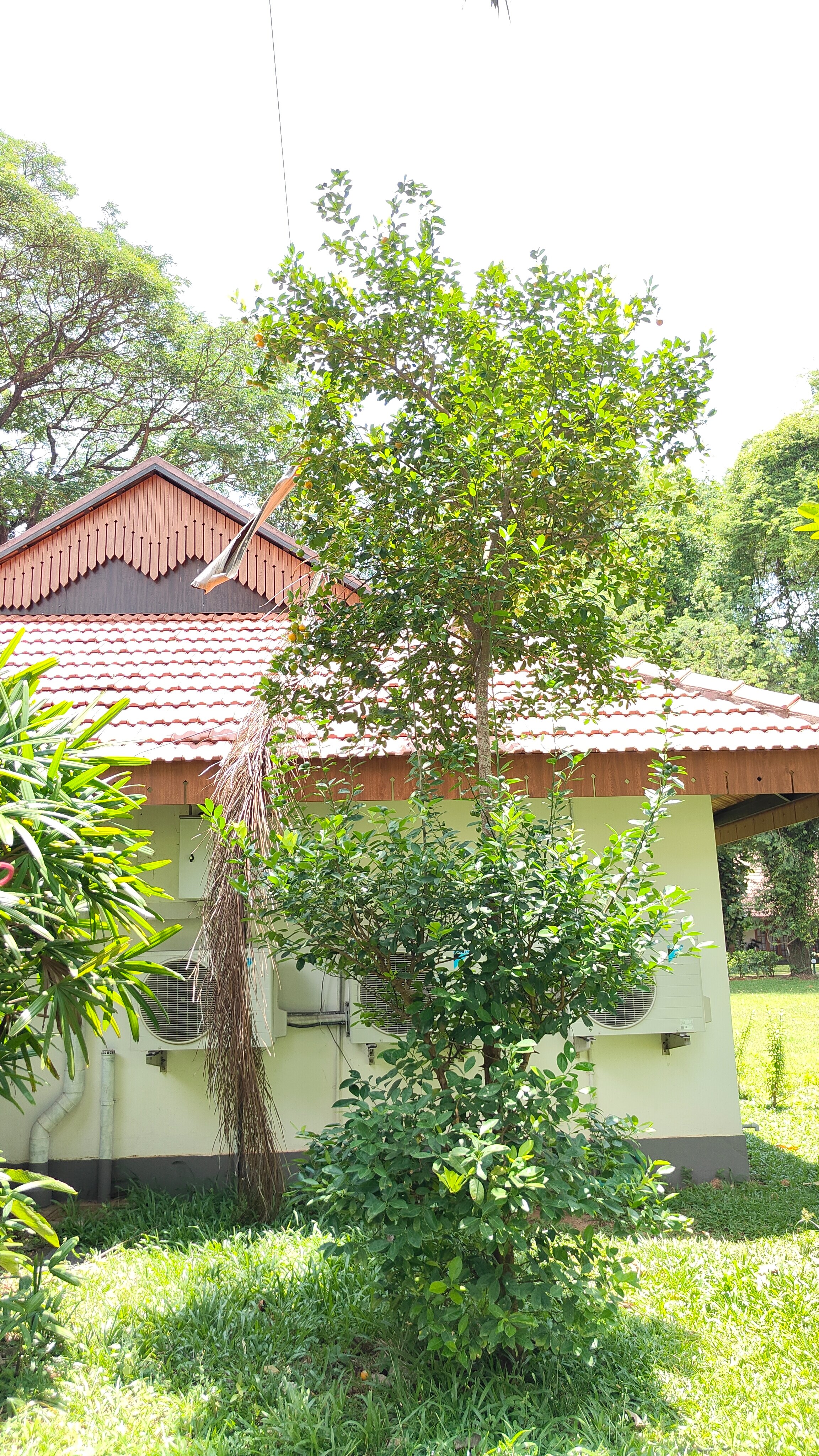 Ktdc Suvasam Kumarakom Gateway-官方