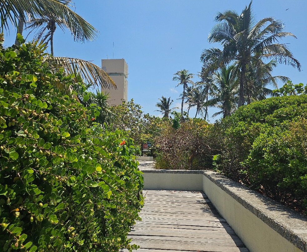 Isla Contoy National Park-Isla Contoy必去景点
