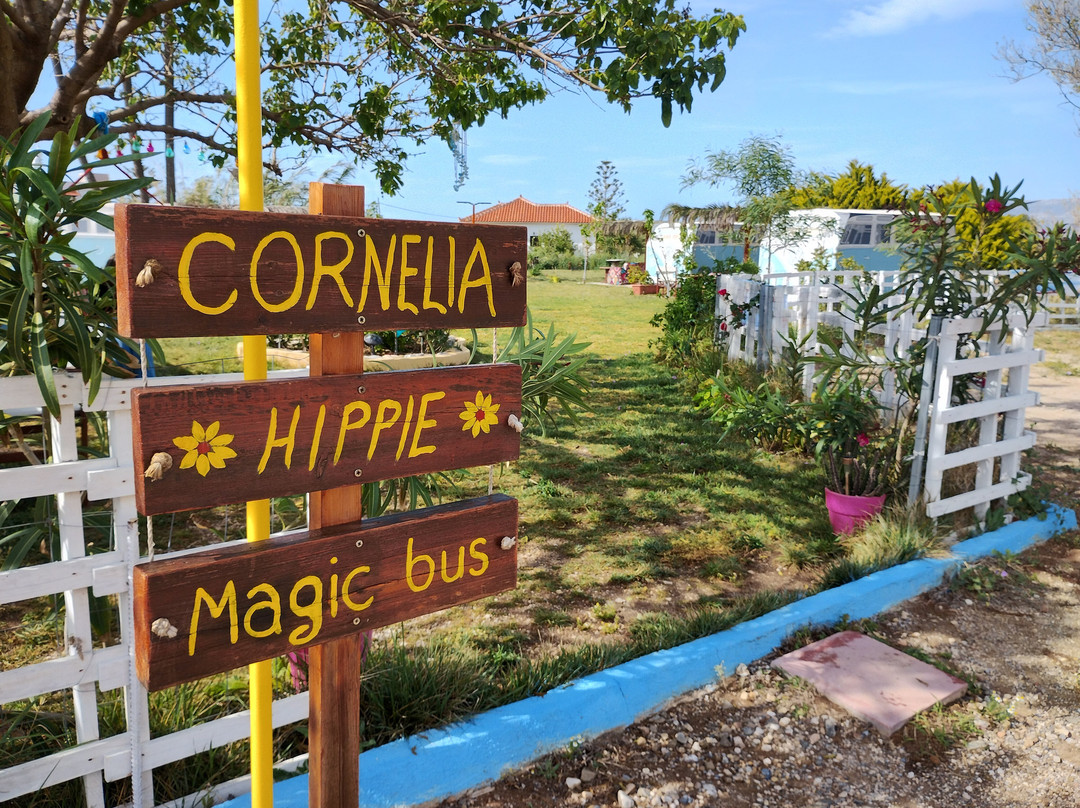 Cornelia Hippie Magic Bus
